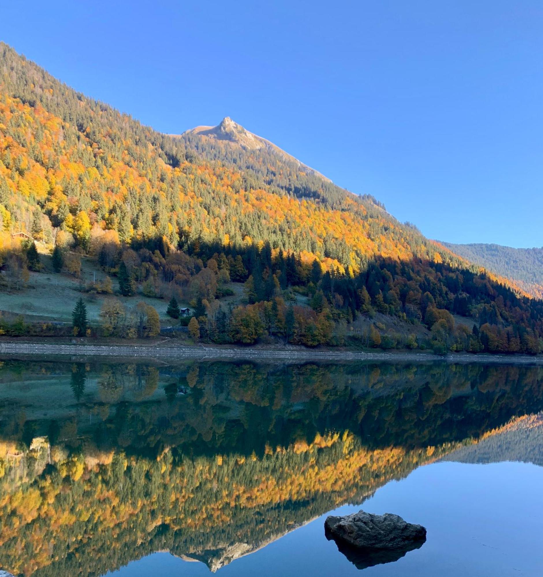 Hotel Le Concorde Morzine Dış mekan fotoğraf